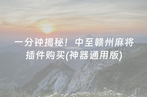 一分钟揭秘！中至赣州麻将插件购买(神器通用版)