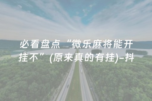 必看盘点“微乐麻将能开挂不”(原来真的有挂)-抖音