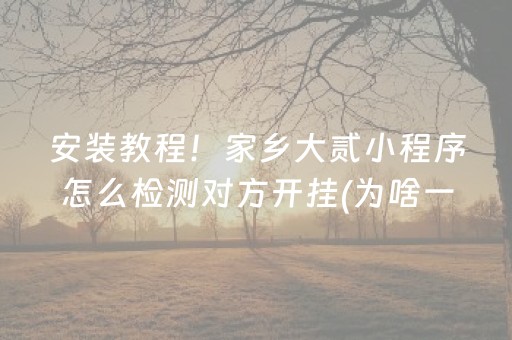 安装教程！家乡大贰小程序怎么检测对方开挂(为啥一直输)