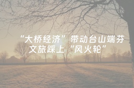 教程辅助“网页版扑克辅助（专用辅牌神器免安装）