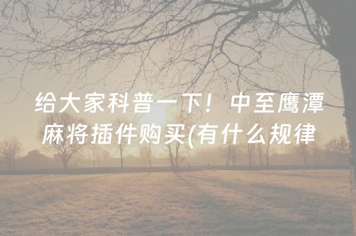 实测教程“中至麻将助赢神器（专用辅牌神器免安装）
