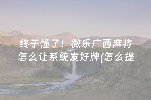 必看教程！“小程序麻将控牌器免安装”（详细透视教程）-哔哩哔哩