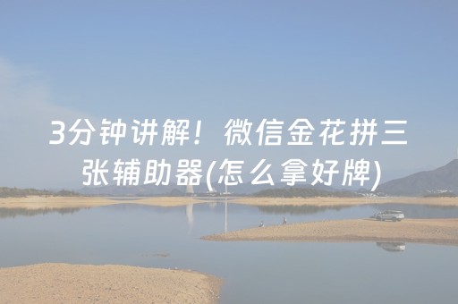 3分钟讲解！微信金花拼三张辅助器(怎么拿好牌)