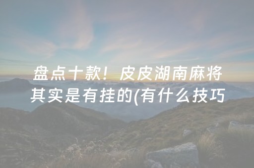 实测辅助“微乐辽宁麻将辅牌器”（详细透视教程）-哔哩哔哩