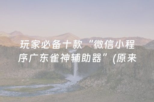 玩家必备教程“微信小程序微乐麻将助赢神器购买（助赢神器通用版）