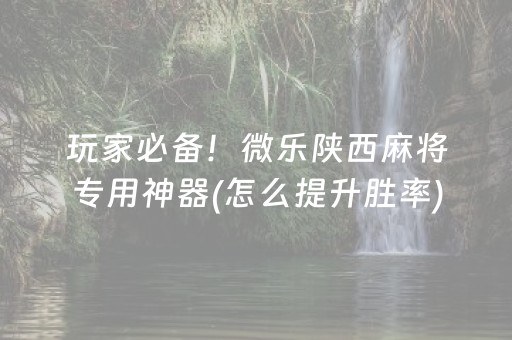 玩家必备！微乐陕西麻将专用神器(怎么提升胜率)