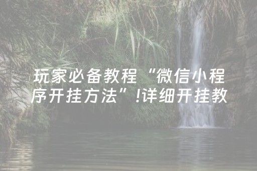 玩家必备教程“微信小程序开挂方法”!详细开挂教程-抖音