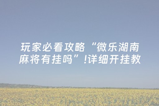 实测辅助“手机麻将设置输赢（专用辅牌神器免安装）