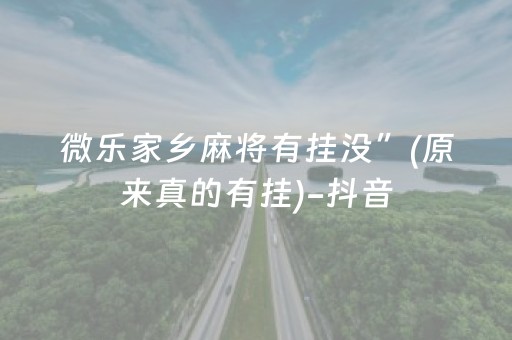 微乐家乡麻将有挂没”(原来真的有挂)-抖音