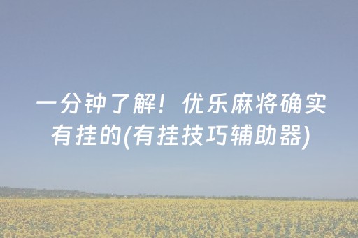 一分钟了解！优乐麻将确实有挂的(有挂技巧辅助器)