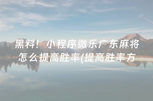 黑料！小程序微乐广东麻将怎么提高胜率(提高胜率方法)