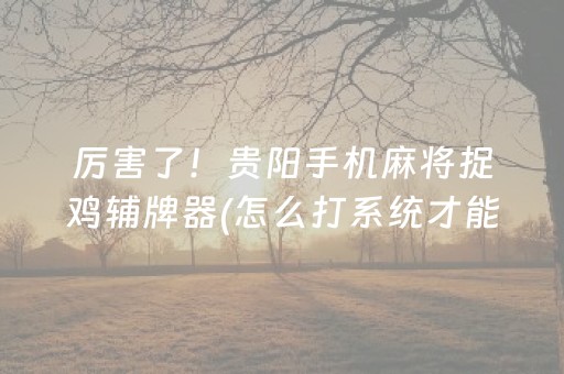 厉害了！贵阳手机麻将捉鸡辅牌器(怎么打系统才能给好牌)