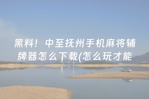 分享辅助“微乐河北麻将容易胡牌的技巧（助赢神器通用版）