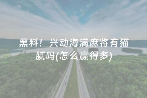 玩家必备教程“微信微乐小程序麻将怎么提高胜率（专用辅牌神器免安装）