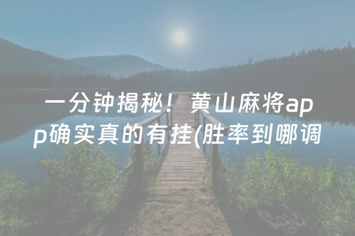 我来教大家“手机打麻将专用神器最新款（助赢神器通用版）