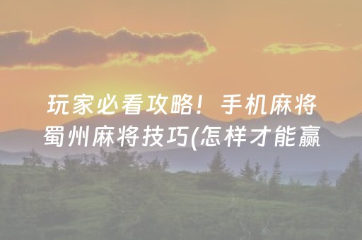 玩家必看攻略！手机麻将蜀州麻将技巧(怎样才能赢)