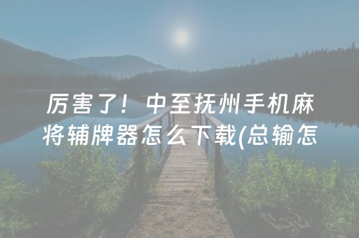 厉害了！中至抚州手机麻将辅牌器怎么下载(总输怎么回事)