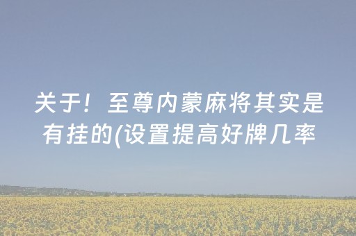 关于！至尊内蒙麻将其实是有挂的(设置提高好牌几率)
