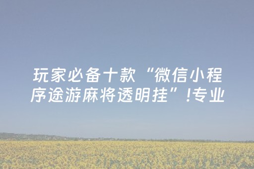 玩家必备十款“微信小程序途游麻将透明挂”!专业师傅带你一起了解（详细教程）-抖音