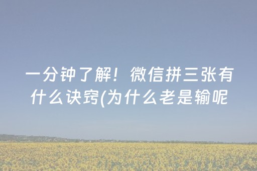 分享辅助“微乐云南麻将的挂在哪找（助赢神器通用版）