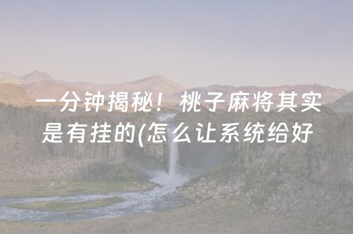 一分钟揭秘！桃子麻将其实是有挂的(怎么让系统给好牌)