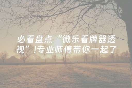 必看盘点“微乐看牌器透视”!专业师傅带你一起了解（详细教程）-抖音