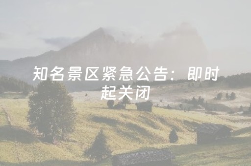 实测辅助“微乐麻将插件购买（助赢神器通用版）