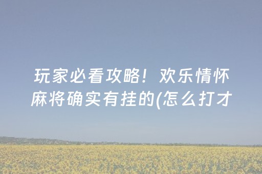 教程辅助“安装麻将机控牌软件（助赢神器通用版）