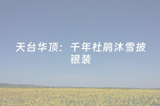 实测分享“终于找到闲聊红包尾 数大小控制挂辅助”（详细透视教程）-哔哩哔哩