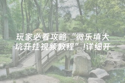 玩家必看攻略“微乐填大坑开挂视频教程”!详细开挂教程-抖音
