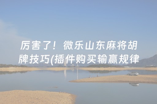 厉害了！微乐山东麻将胡牌技巧(插件购买输赢规律)