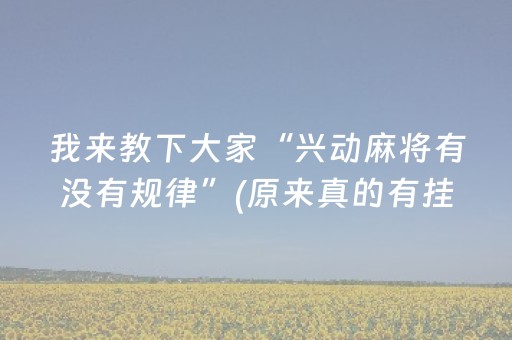实测分享“微乐安徽麻将赢牌的技巧（专用辅牌神器免安装）