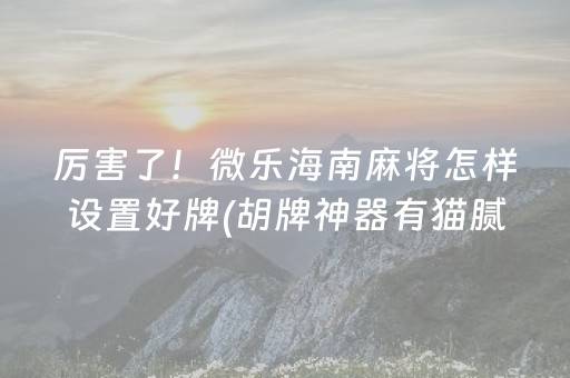 厉害了！微乐海南麻将怎样设置好牌(胡牌神器有猫腻吗)