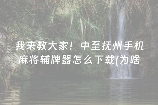 我来教大家！中至抚州手机麻将辅牌器怎么下载(为啥总是输)