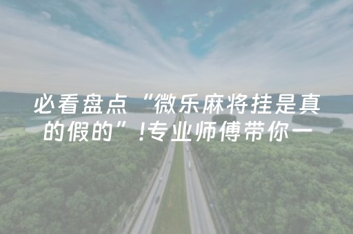必看盘点“微乐麻将挂是真的假的”!专业师傅带你一起了解（详细教程）-抖音