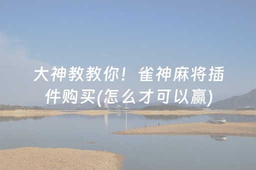 实测辅助“微信斗牛专用神器（助赢神器通用版）