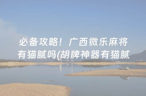 必备攻略！广西微乐麻将有猫腻吗(胡牌神器有猫腻吗)