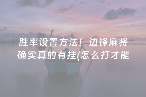 实测结果“微乐江苏麻将挂件神器通用（助赢神器通用版）
