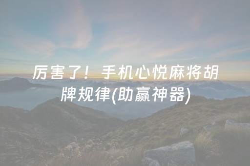 玩家必备教程“麻将机程序检测方法大全（专用辅牌神器免安装）