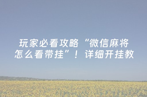 玩家必看攻略“微信麻将怎么看带挂”！详细开挂教程（确实真的有挂)-抖音