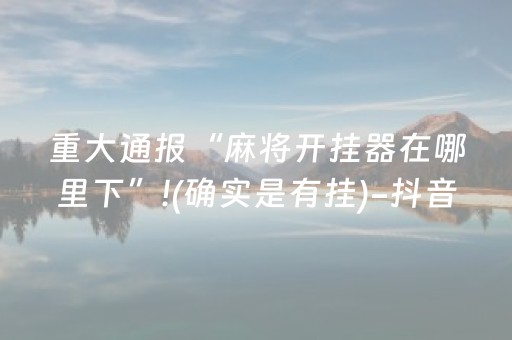 重大通报“麻将开挂器在哪里下”!(确实是有挂)-抖音