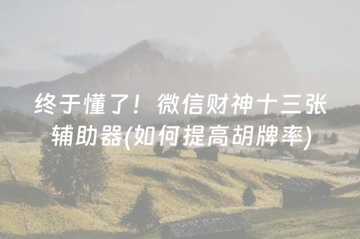 终于懂了！微信财神十三张辅助器(如何提高胡牌率)