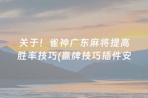 实测辅助“微乐宁夏麻将神器下载安装（助赢神器通用版）