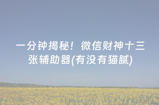 一分钟揭秘！微信财神十三张辅助器(有没有猫腻)