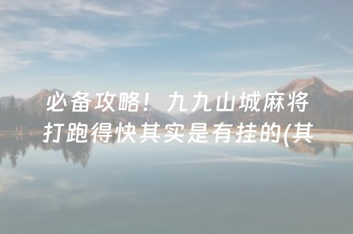 玩家实测“微乐麻将挂件神器（助赢神器通用版）