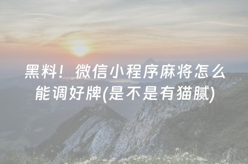 黑料！微信小程序麻将怎么能调好牌(是不是有猫腻)