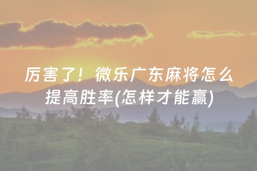 厉害了！微乐广东麻将怎么提高胜率(怎样才能赢)
