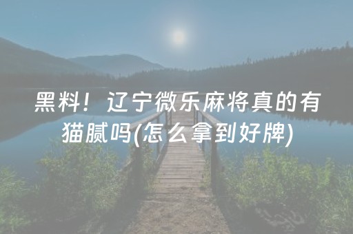 黑料！辽宁微乐麻将真的有猫腻吗(怎么拿到好牌)