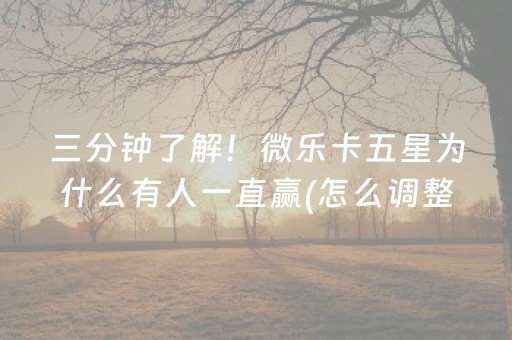 三分钟了解！微乐卡五星为什么有人一直赢(怎么调整胜率)