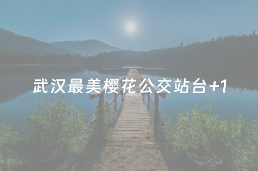 玩家必看攻略“发红包控制尾数的软件”（详细透视教程）-哔哩哔哩